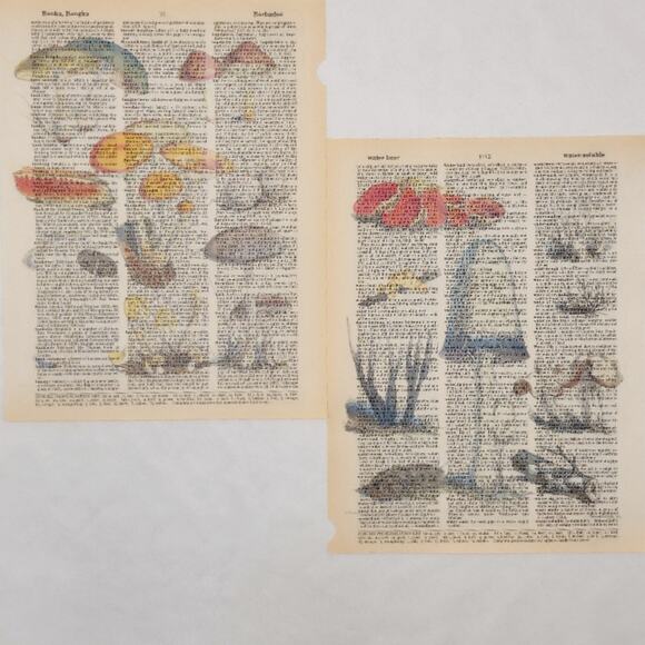 Mushroom Dictionary Prints 3, Colorful Mushroom Prints, Book Page Prints - Picture 2 of 6